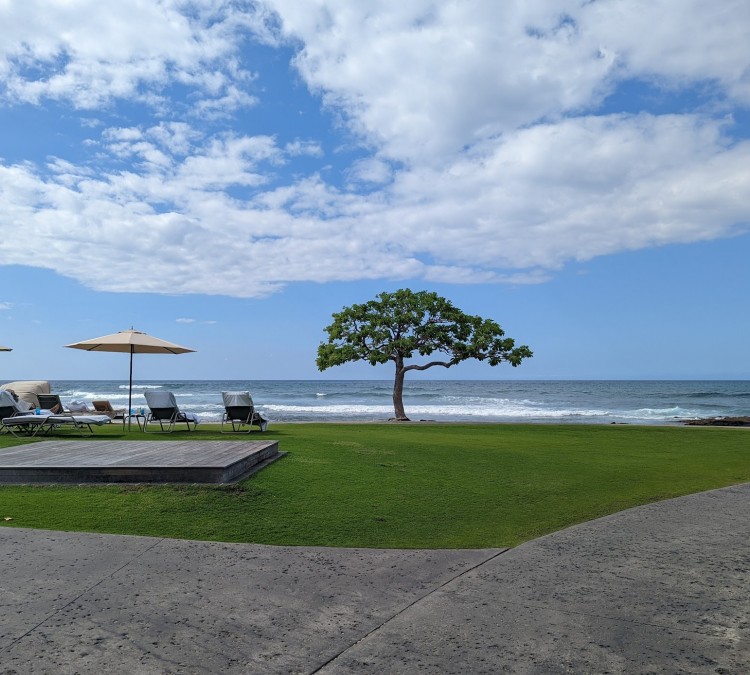 Beach Tree Quiet Pool (Kailua&nbspKona,&nbspHI)